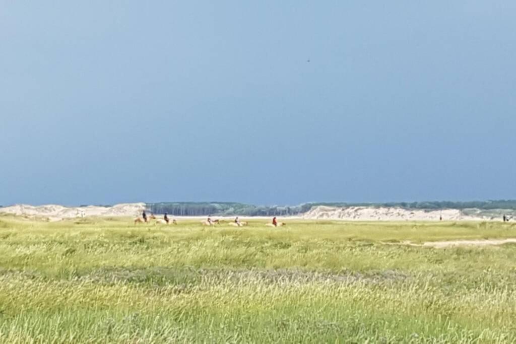 La Cabane Des Dunes A Fort-Mahon Plage Luaran gambar